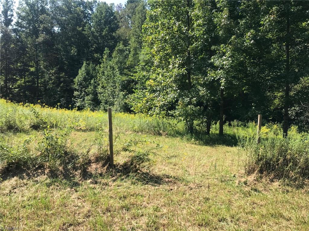 1283 Red Bank Road Germanton, NC 27019 - Photo 10 of 13 Gallery Image 10