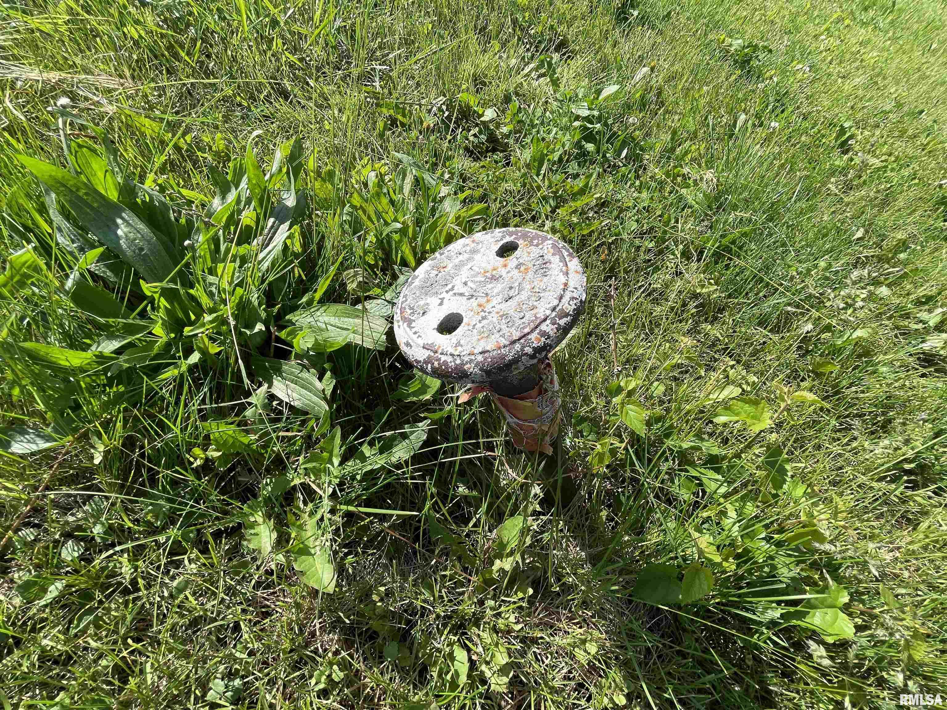 11207 22nd Street Milan, IL 61264 - Photo 4 of 17