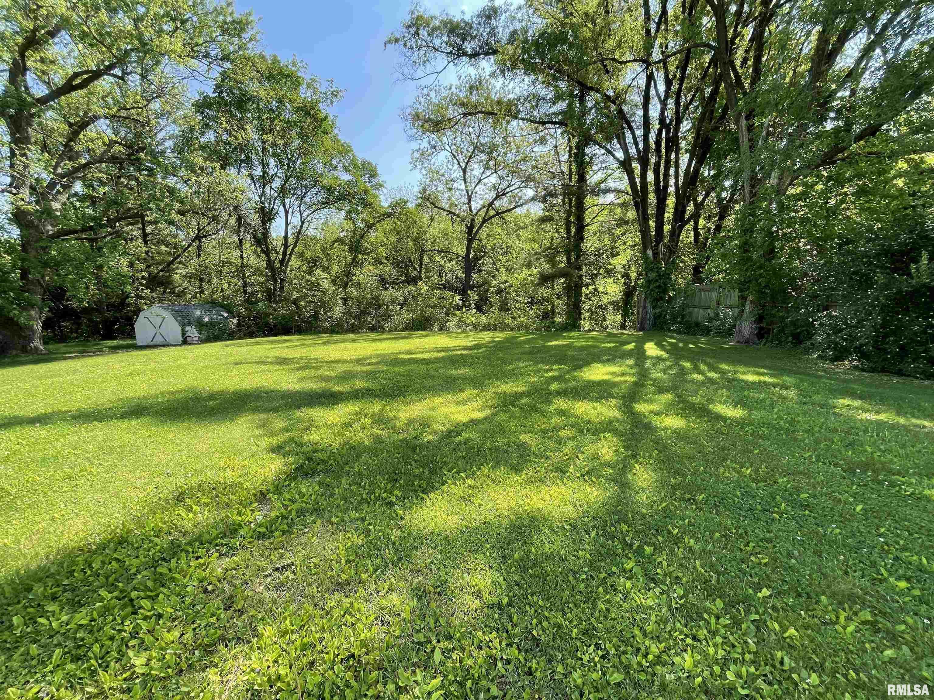 11207 22nd Street Milan, IL 61264 - Photo 6 of 17
