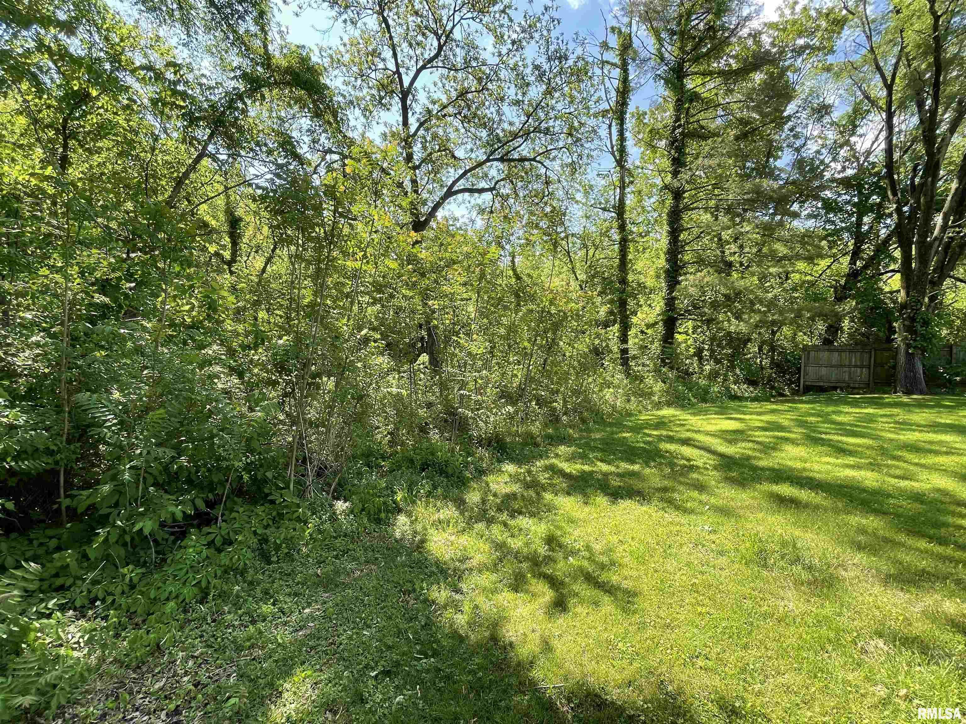 11207 22nd Street Milan, IL 61264 - Photo 9 of 17