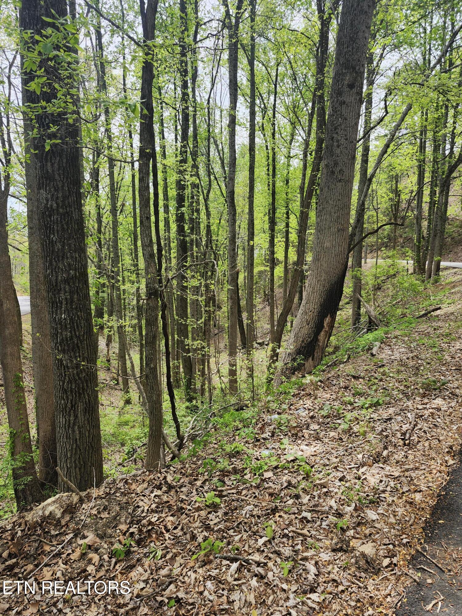 Lot 1 Hatcher Mtn Road Sevierville, TN 37862 - Photo 3 of 10 Image 03