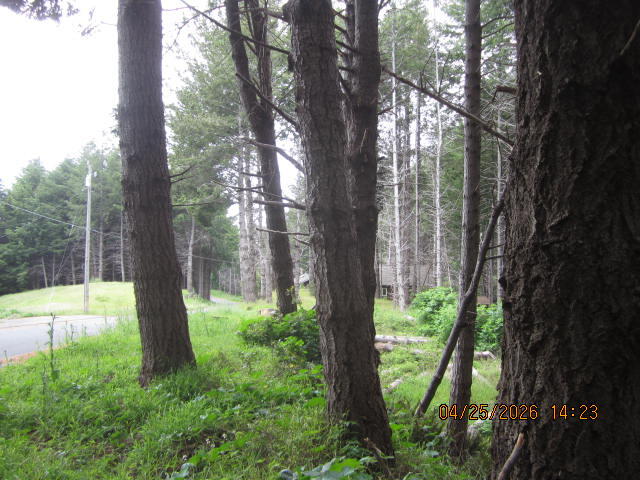 313 Ridge Road Shelter Cove, CA 95589 - Photo 17 of 20