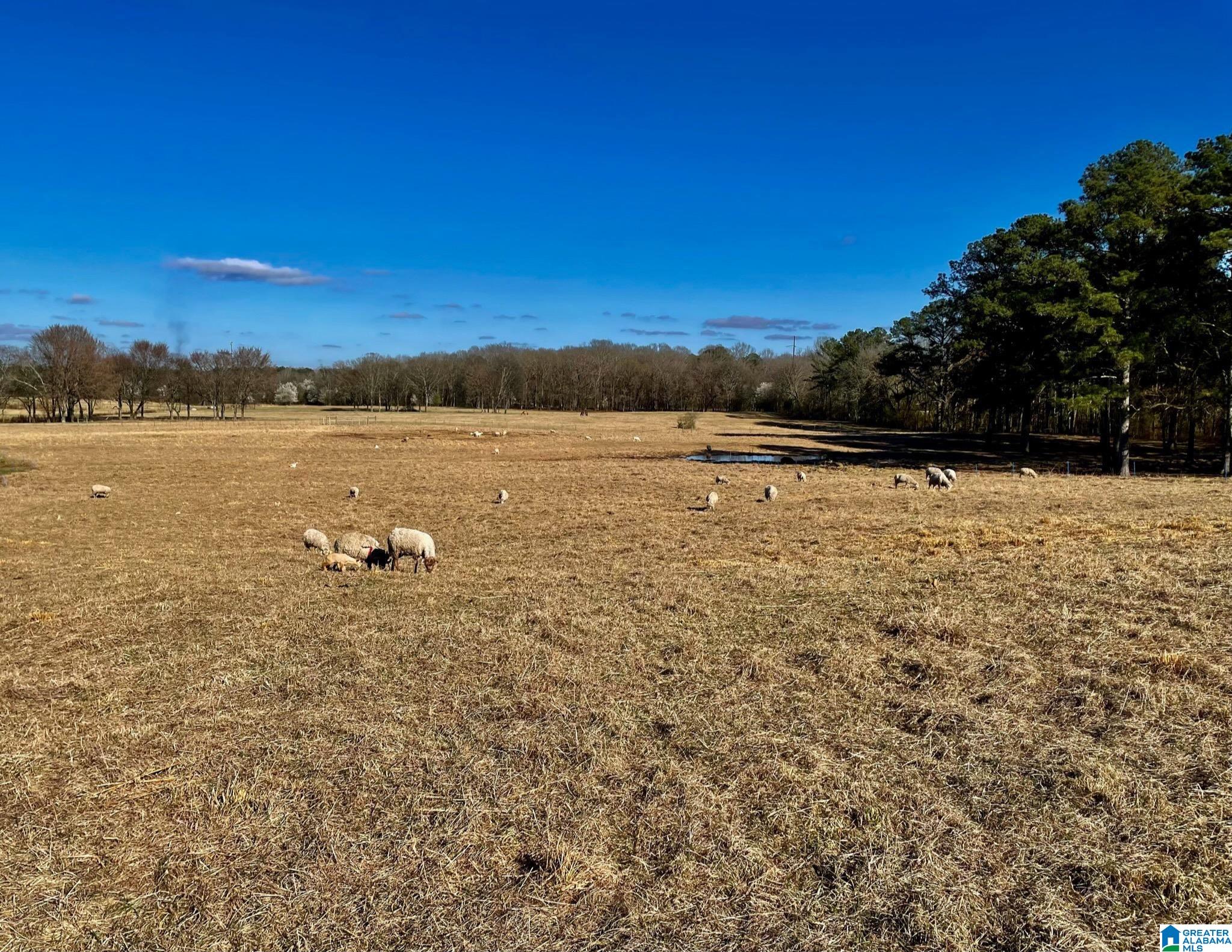 1396 Sun Valley Road Harpersville, AL 35078 - Photo 63 of 82