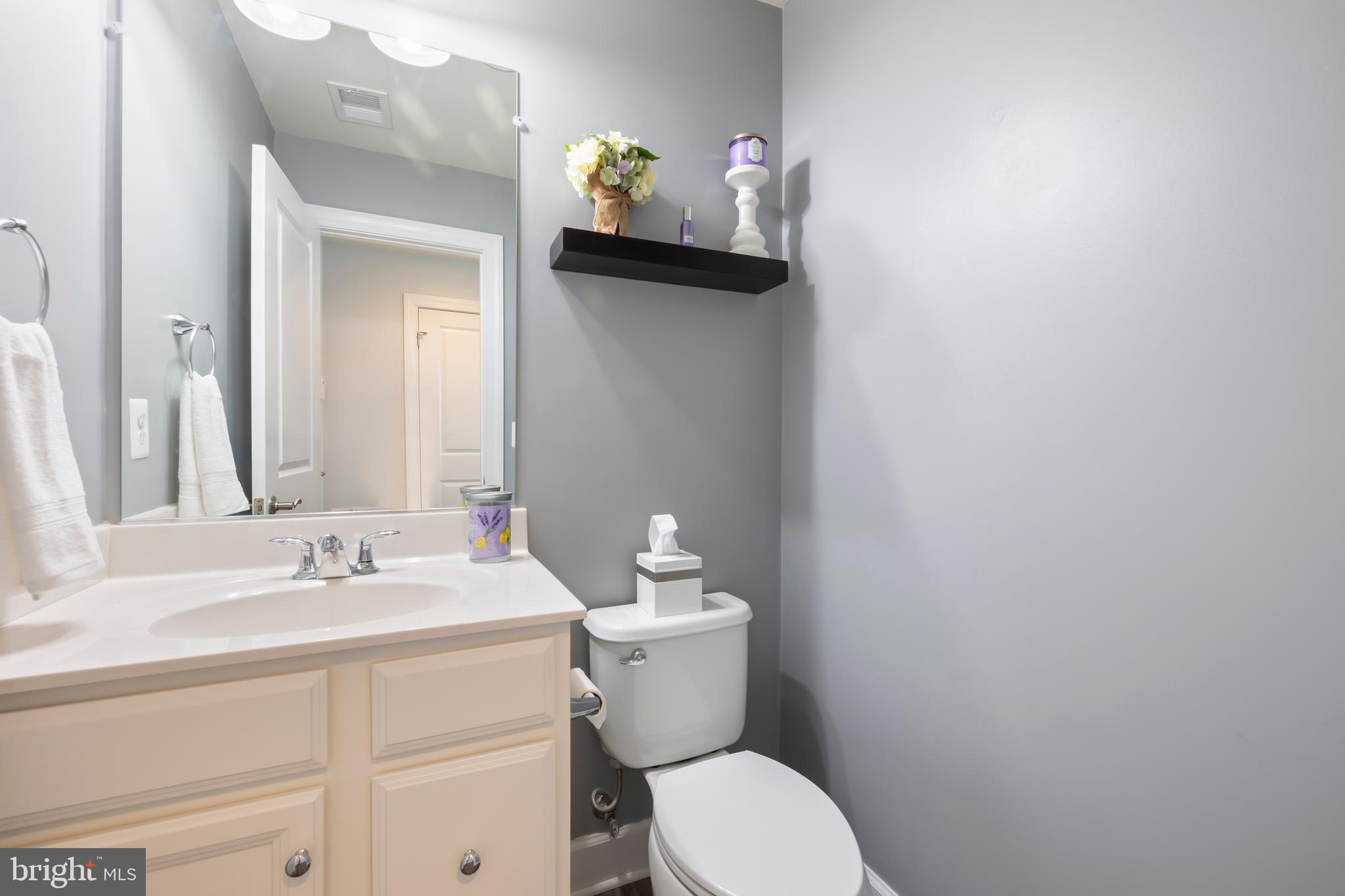 7071 Mongoose Trail Gainesville, VA 20155 - Photo 45 of 51 a bathroom with a sink vanity and a toilet