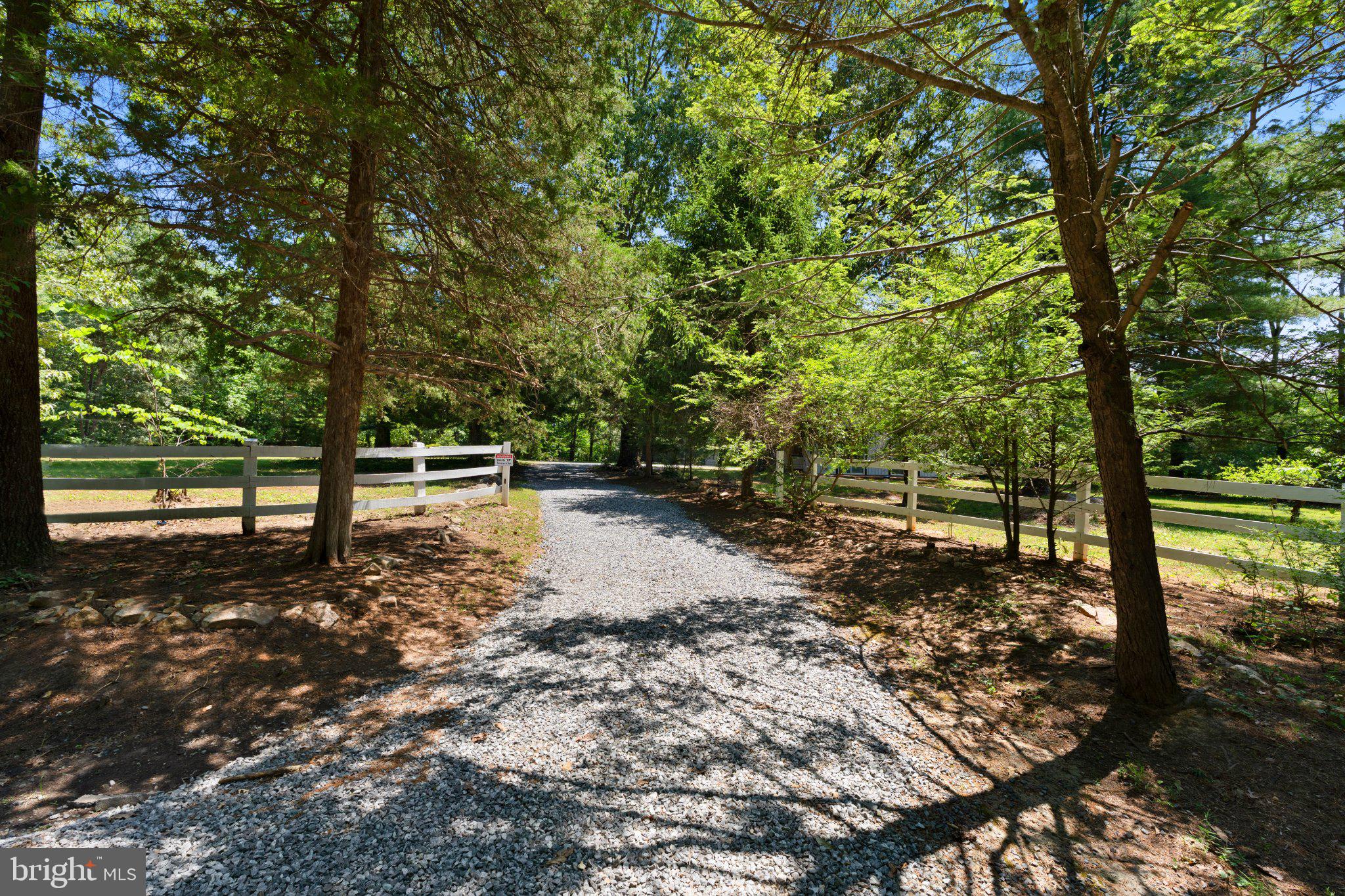 8405 Shirley Road Spotsylvania, VA 22551 - Photo 37 of 42 a backyard of a house with lots of green space