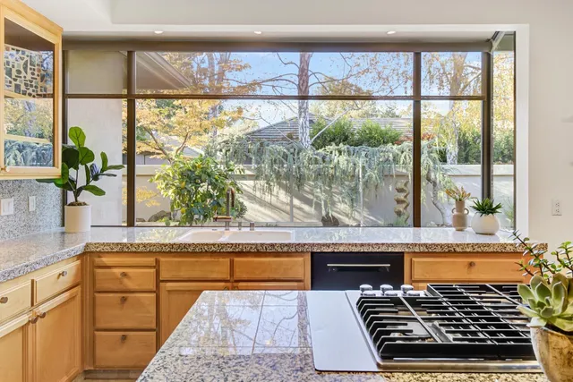 a kitchen with a stove a faucet and a potted plant