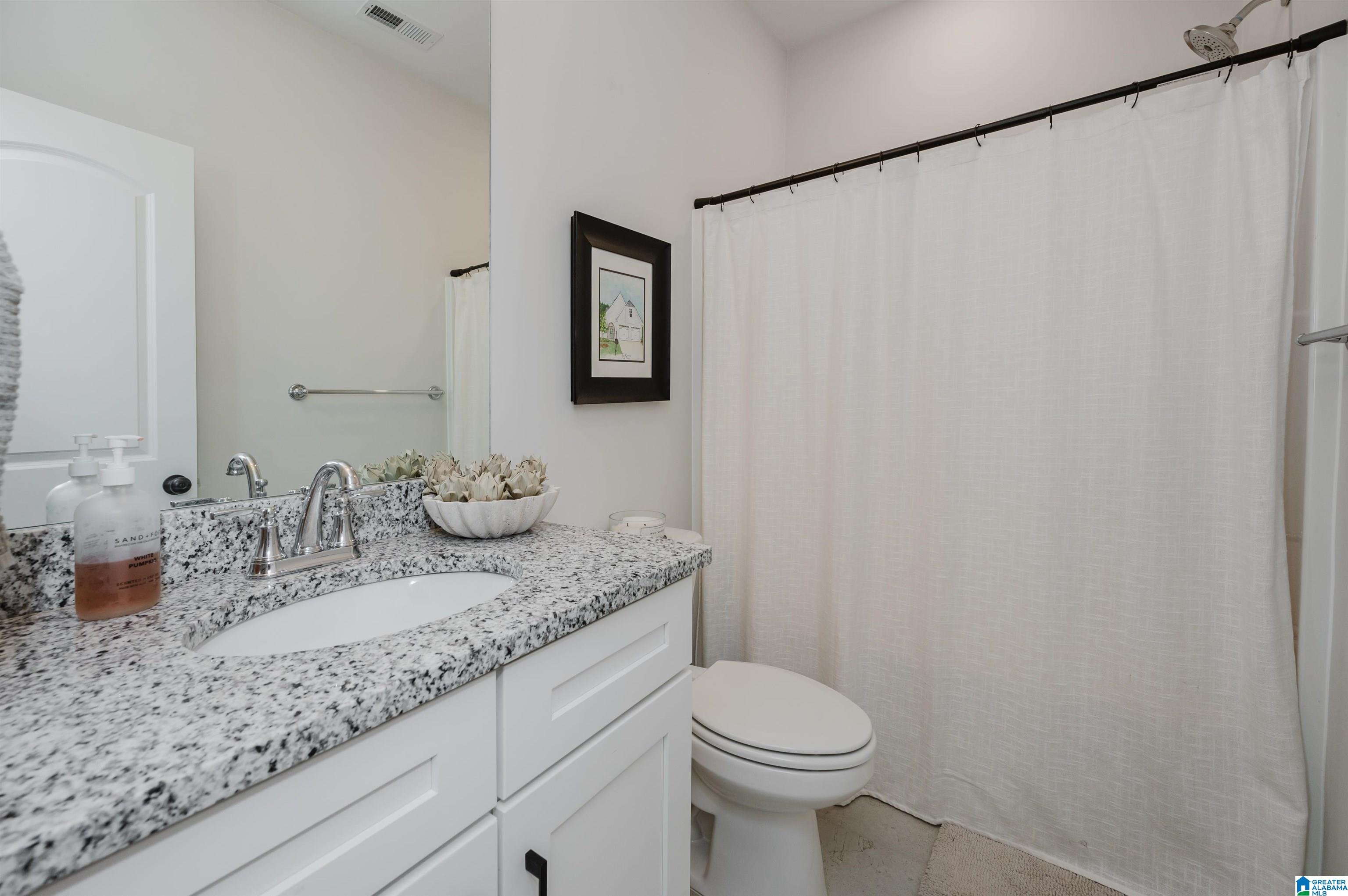 2167 Springfield Drive Chelsea, AL 35043 - Photo 41 of 50