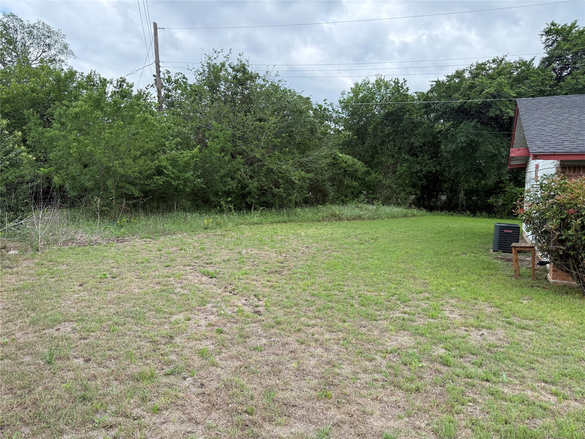 1303 Falcon Cove Austin, TX 78745 - Photo 5 of 16 a backyard of a house with lots of green space