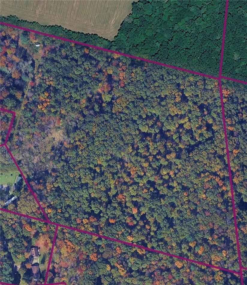 370 Ellis Creek Road Barton, NY 14892 - Photo 1 of 24