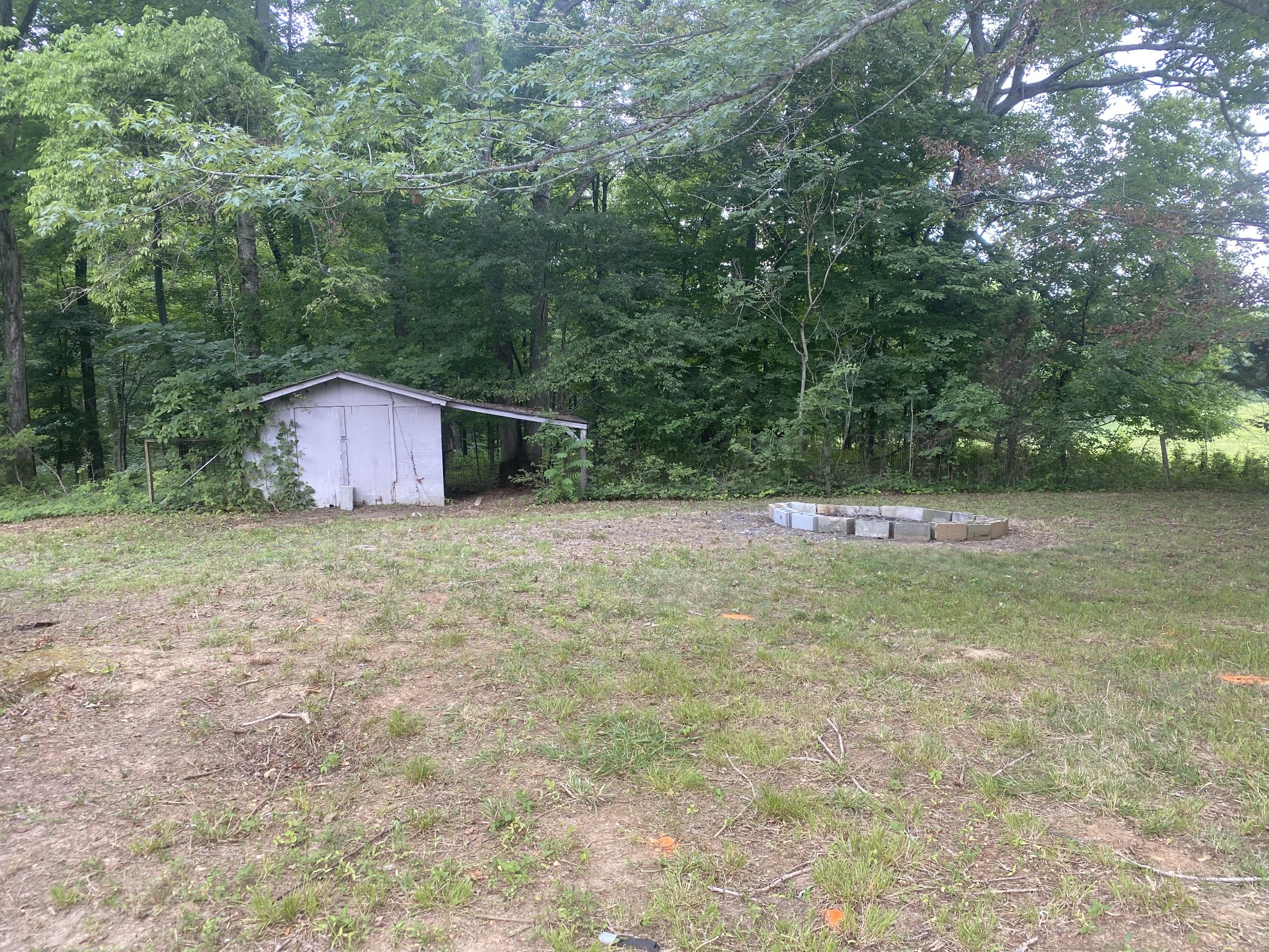4908 Marion Road Cunningham, TN 37052 - Photo 13 of 27 a view of a backyard