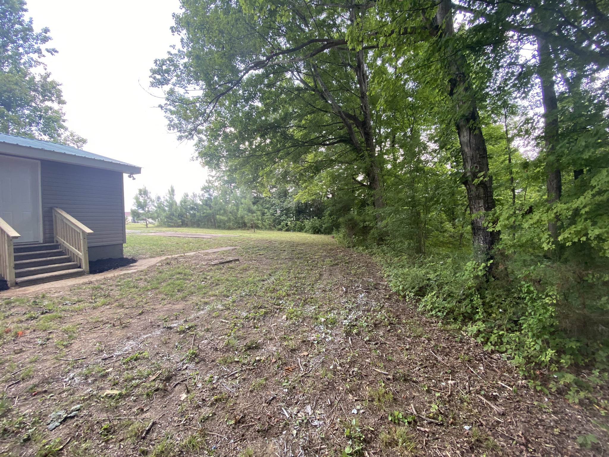 4908 Marion Road Cunningham, TN 37052 - Photo 6 of 27 a view of a yard with plants and trees
