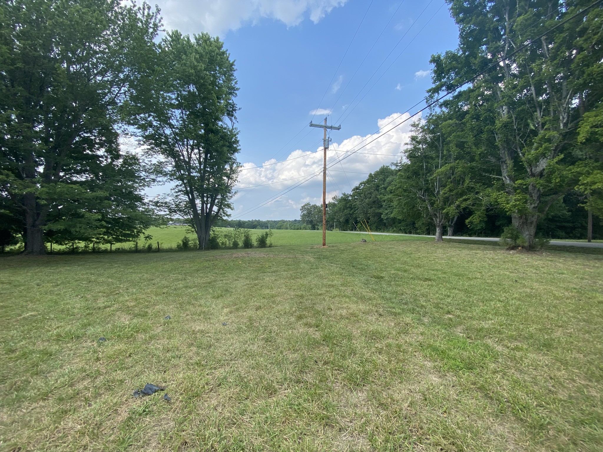 4908 Marion Road Cunningham, TN 37052 - Photo 8 of 27 a view of a field with trees