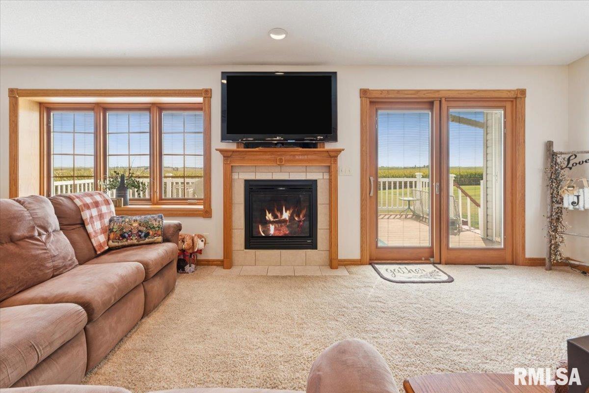 3983 120th Street Bryant, IA 52727 - Photo 16 of 62 a living room with furniture a flat screen tv and a fireplace