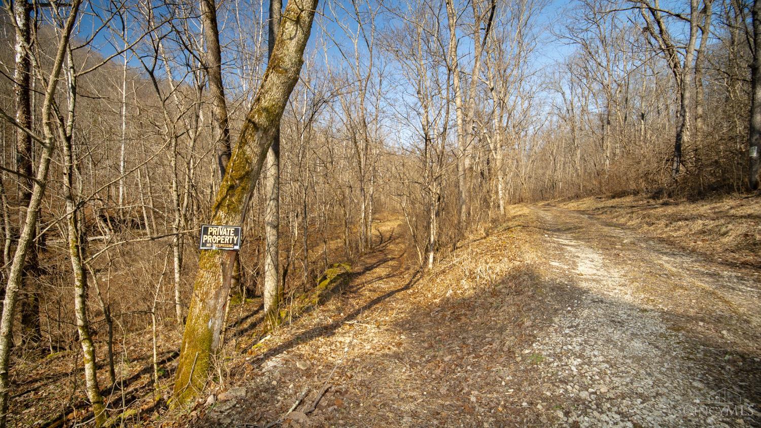 0 Flaugher Road Ripley, OH 45167 - Photo 9 of 13