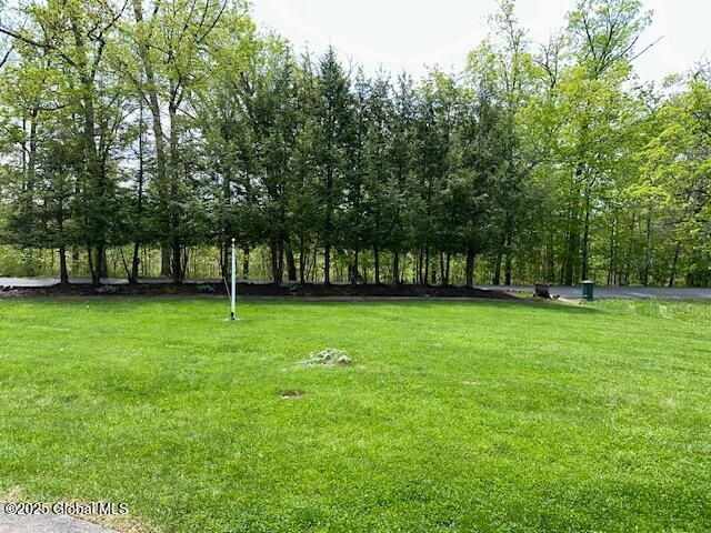 268 Waldenmaier Road Bethlehem, NY 12067 - Photo 51 of 54 IMG_4039