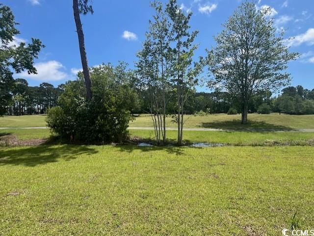 9708 Indigo Creek Boulevard Murrells Inlet, SC 29576 - Photo 7 of 30