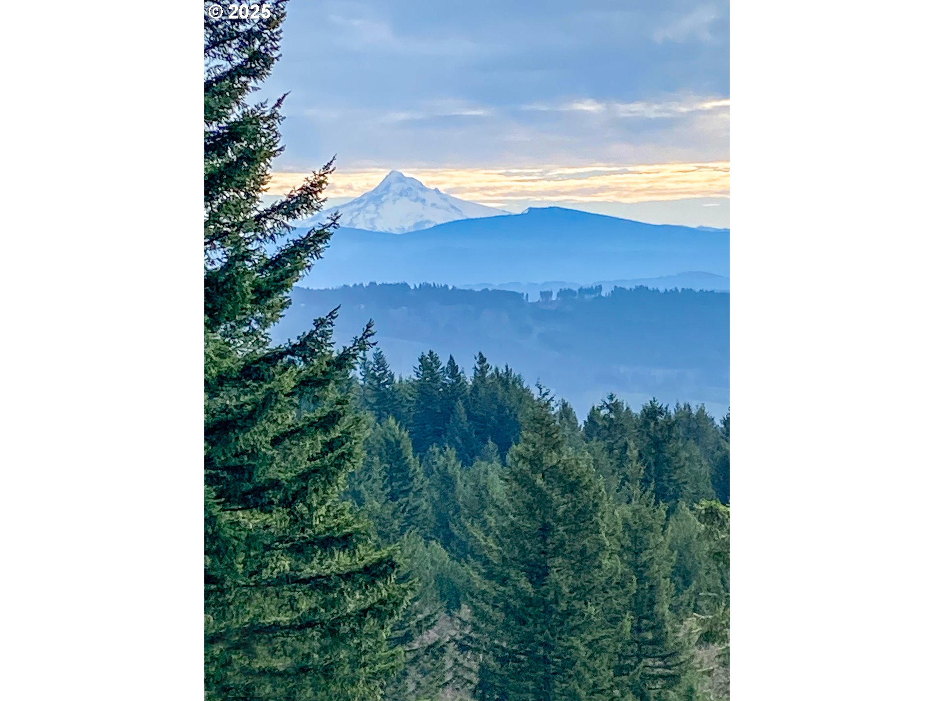 Northeast Hancock Road, Unit 1 Camas, WA 98607 - Photo 3 of 12