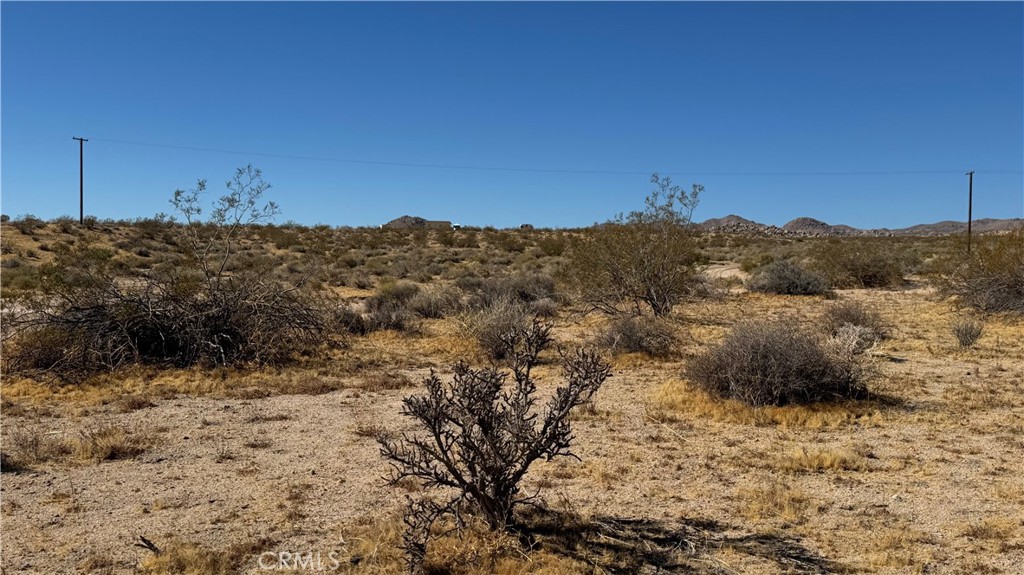 0 Bodick Road Johnson Valley, CA 92285 - Photo 7 of 12
