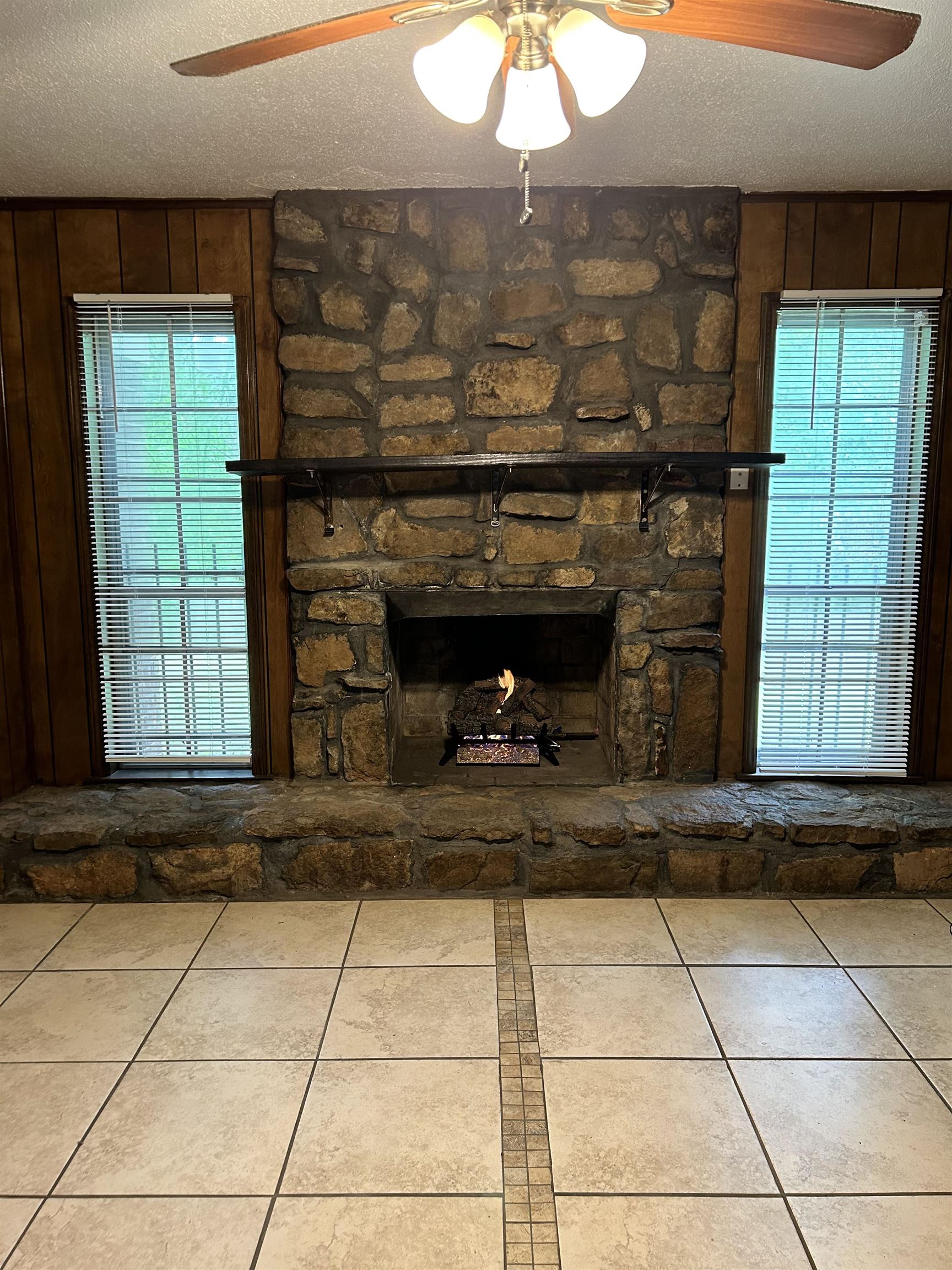 3082 Spring Hill Drive Memphis, TN 38127 - Photo 11 of 15 a view of fireplace and window