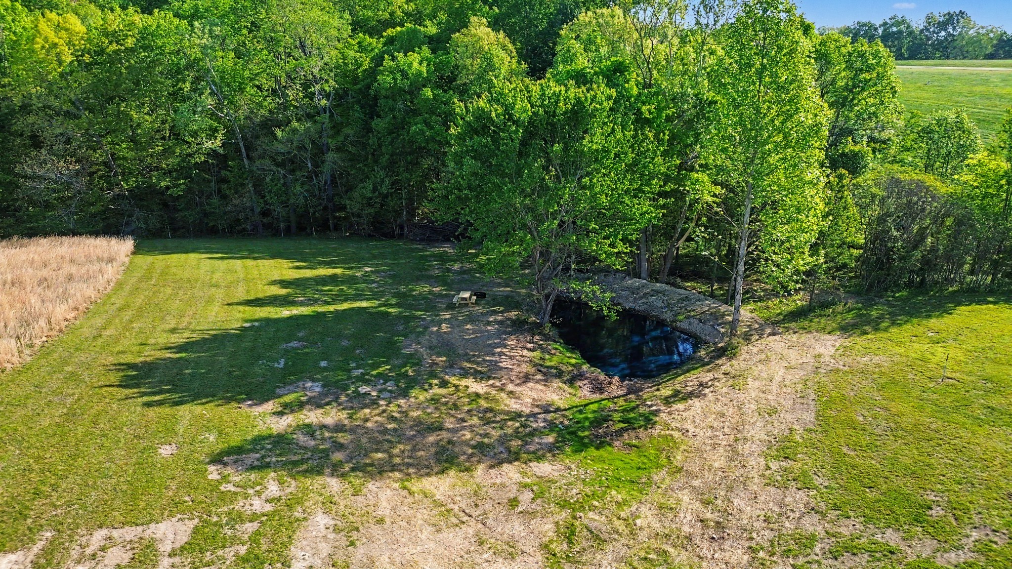 1854 Lafayette Road Red Boiling Springs, TN 37150 - Photo 19 of 22