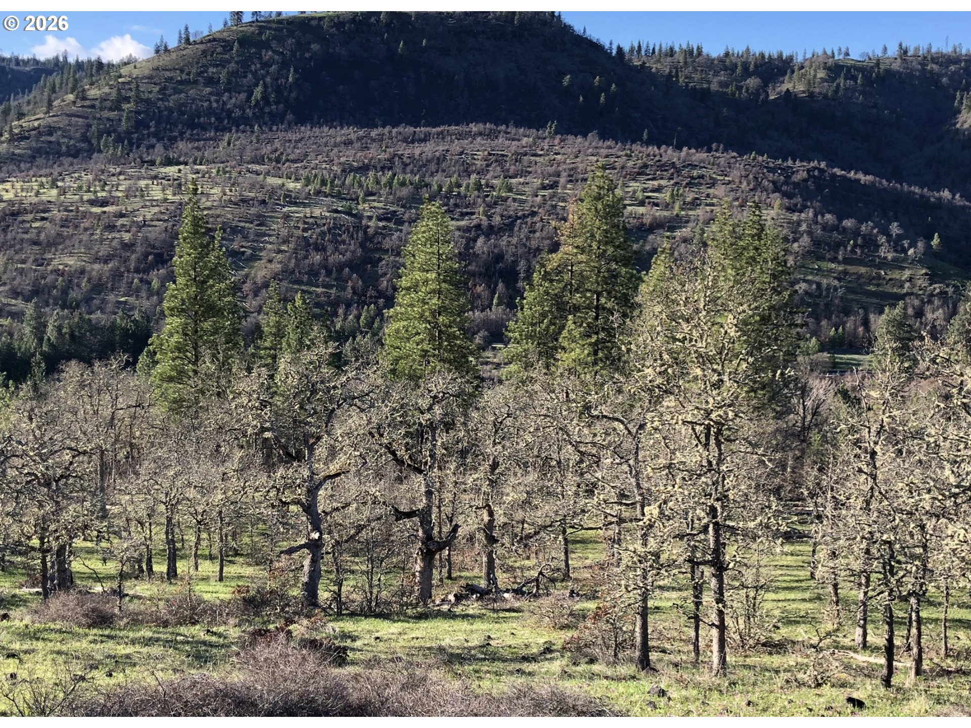 Lot At Lot At Wahkiacus Lyle, WA 98635 - Photo 3 of 9 Gallery Image 3