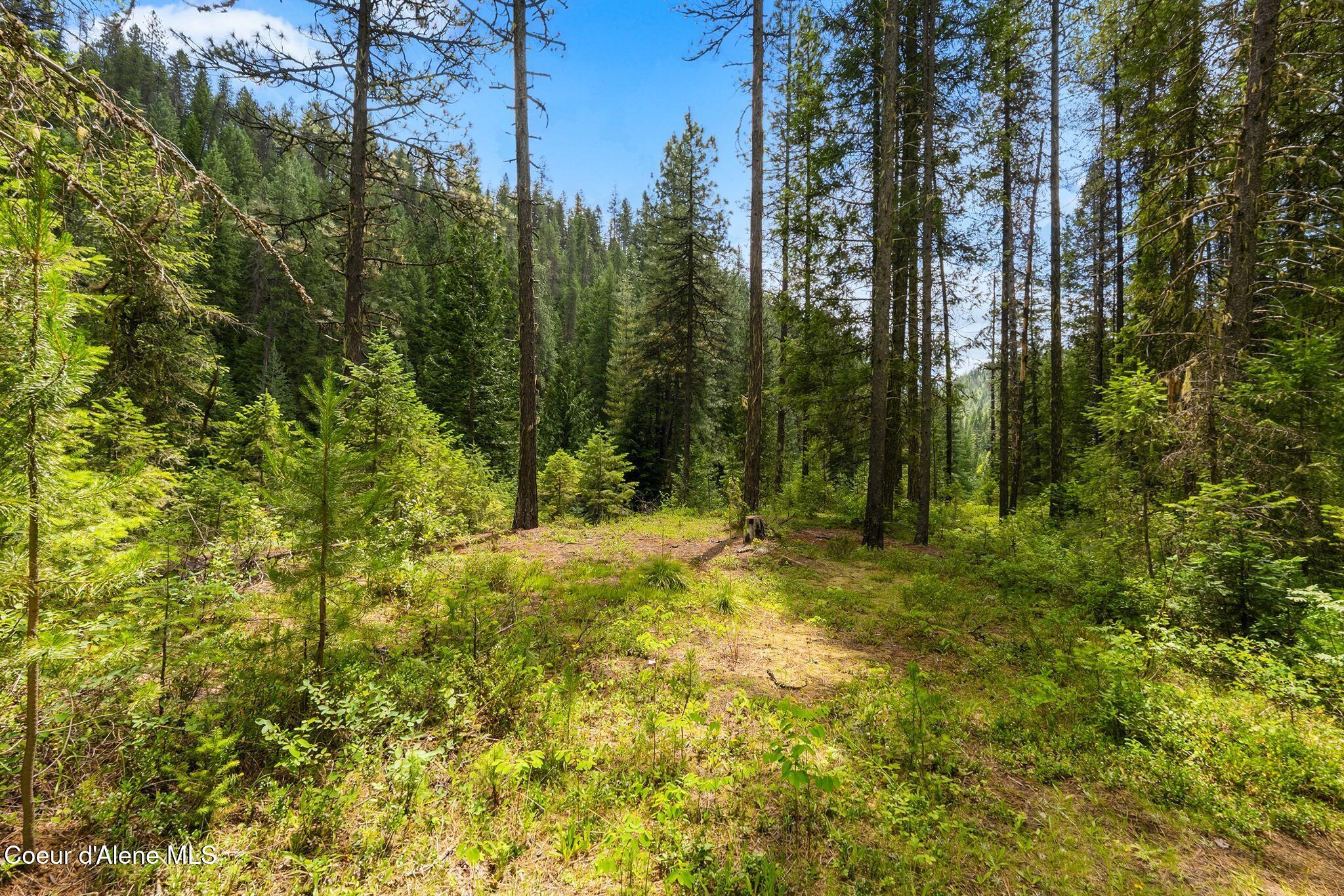 Nna Lantern Lane Sandpoint, ID 83864 - Photo 10 of 29 24_DSC05973