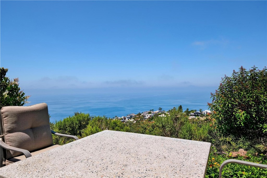 865 Quivera Street Laguna Beach, CA 92651 - Photo 22 of 23 a view of potted plants and sky view