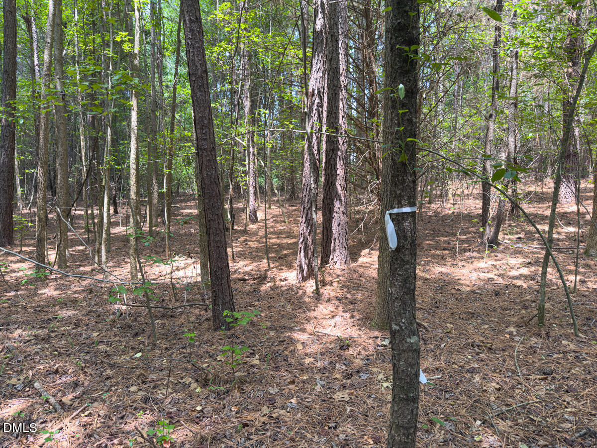0 Mt Pleasant Church Road Manson, NC 27553 - Photo 35 of 43