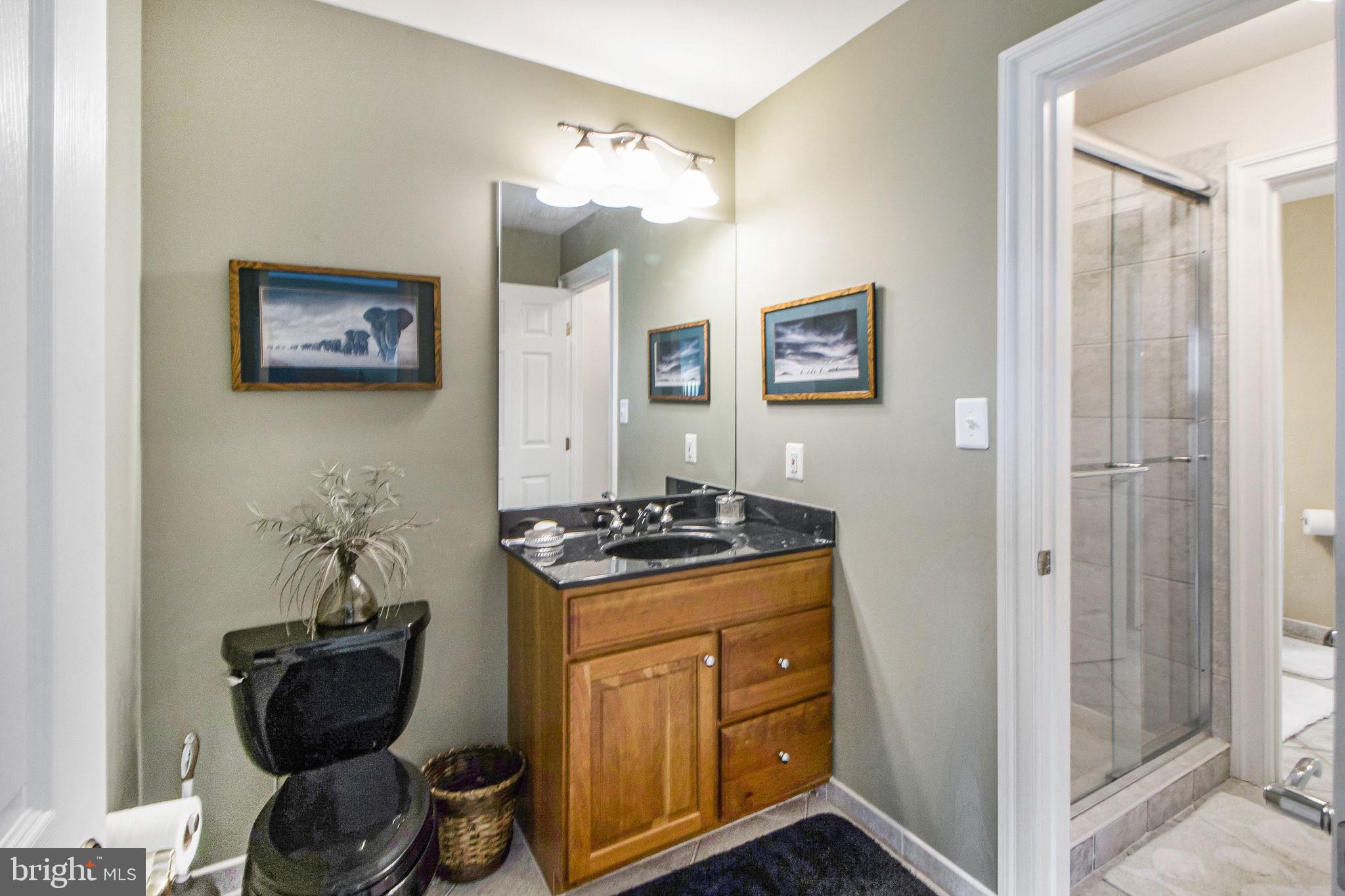22841 West Harris Road Dickerson, MD 20842 - Photo 36 of 65 One side of "Double" bath with shared shower
