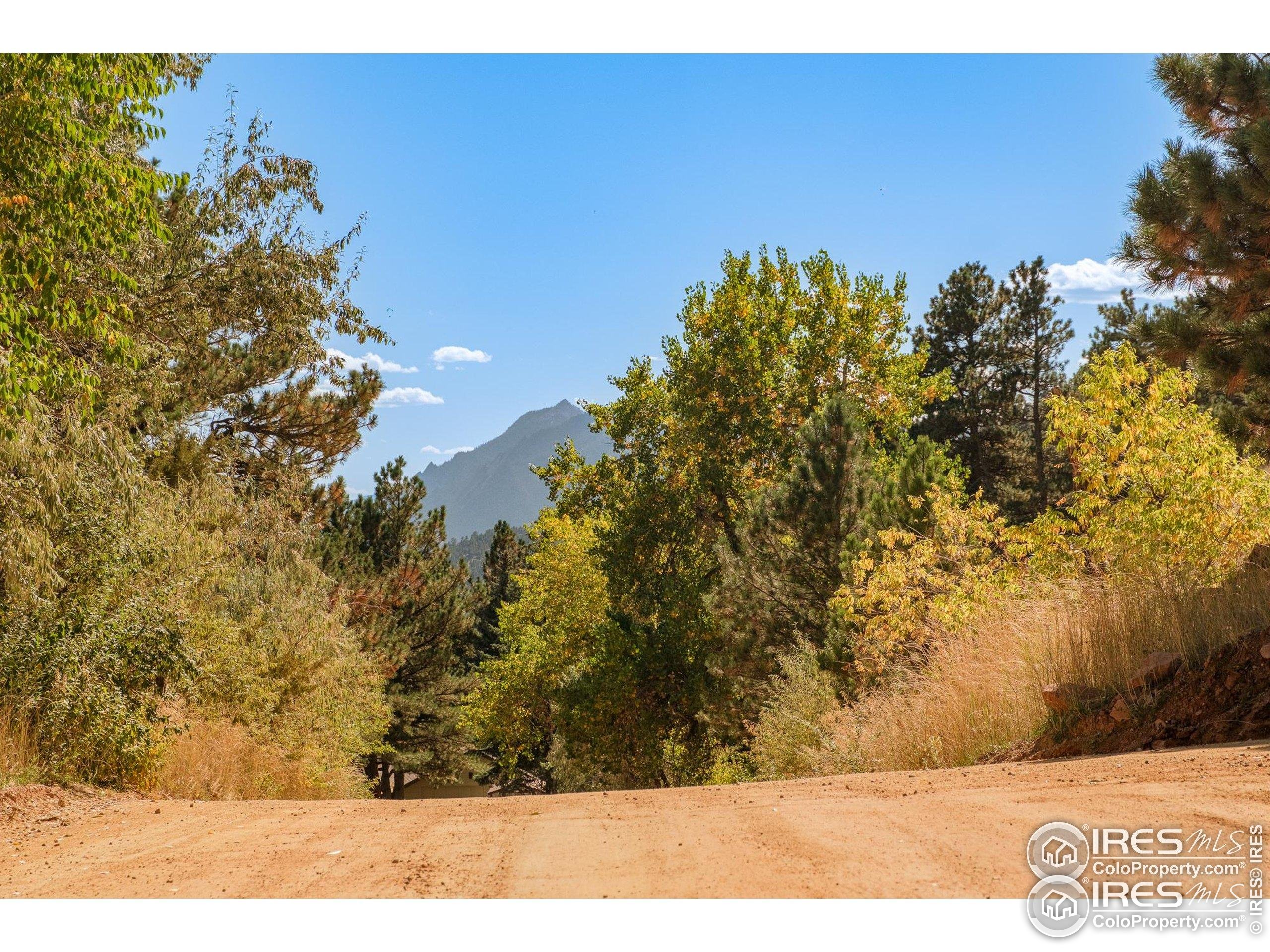 6365 Red Hill Road Boulder, CO 80302 - Photo 5 of 17 a view of a yard