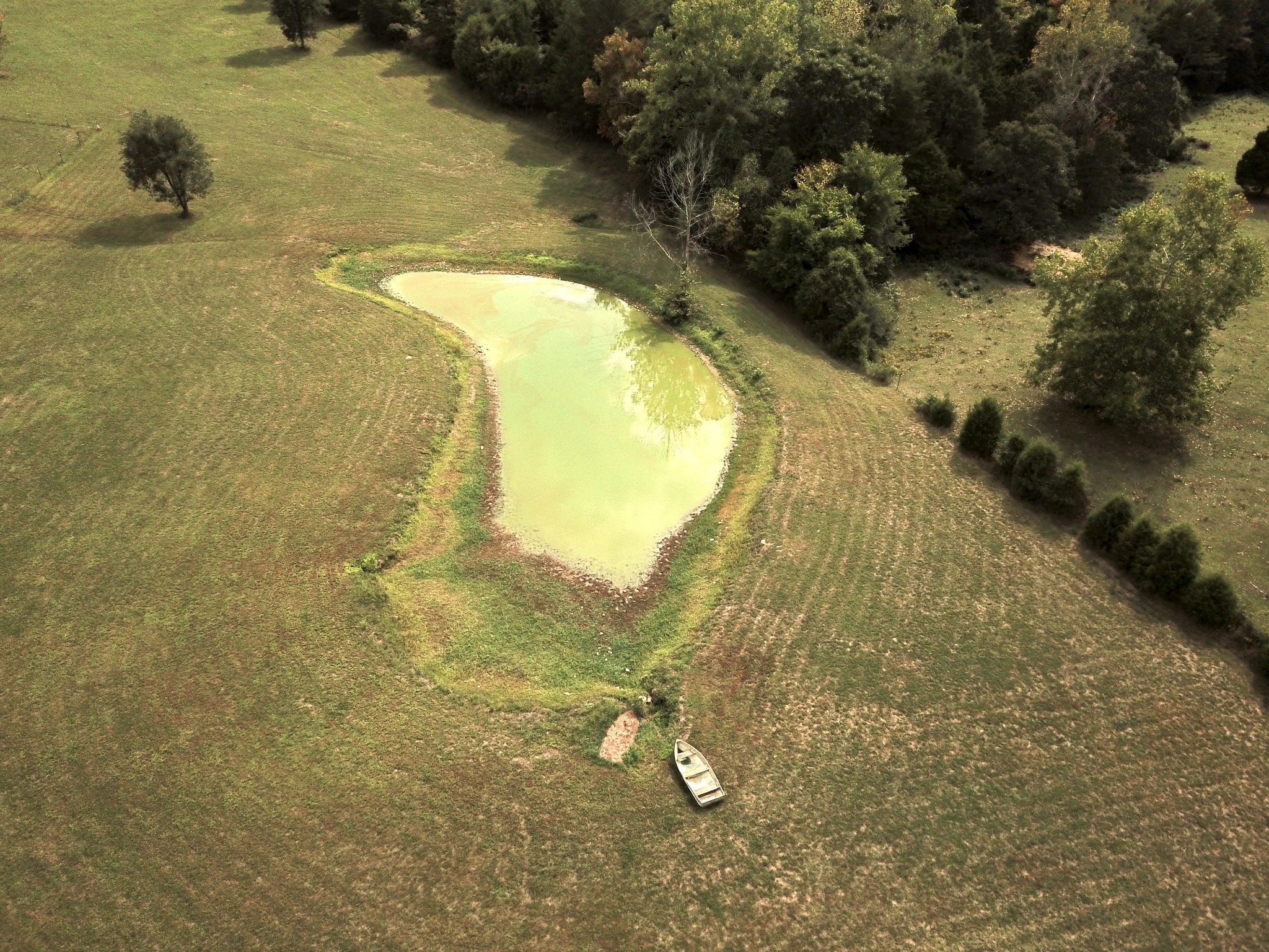 6500 Keys Branch Road Nunnelly, TN 37137 - Photo 5 of 13 Gallery Image 5
