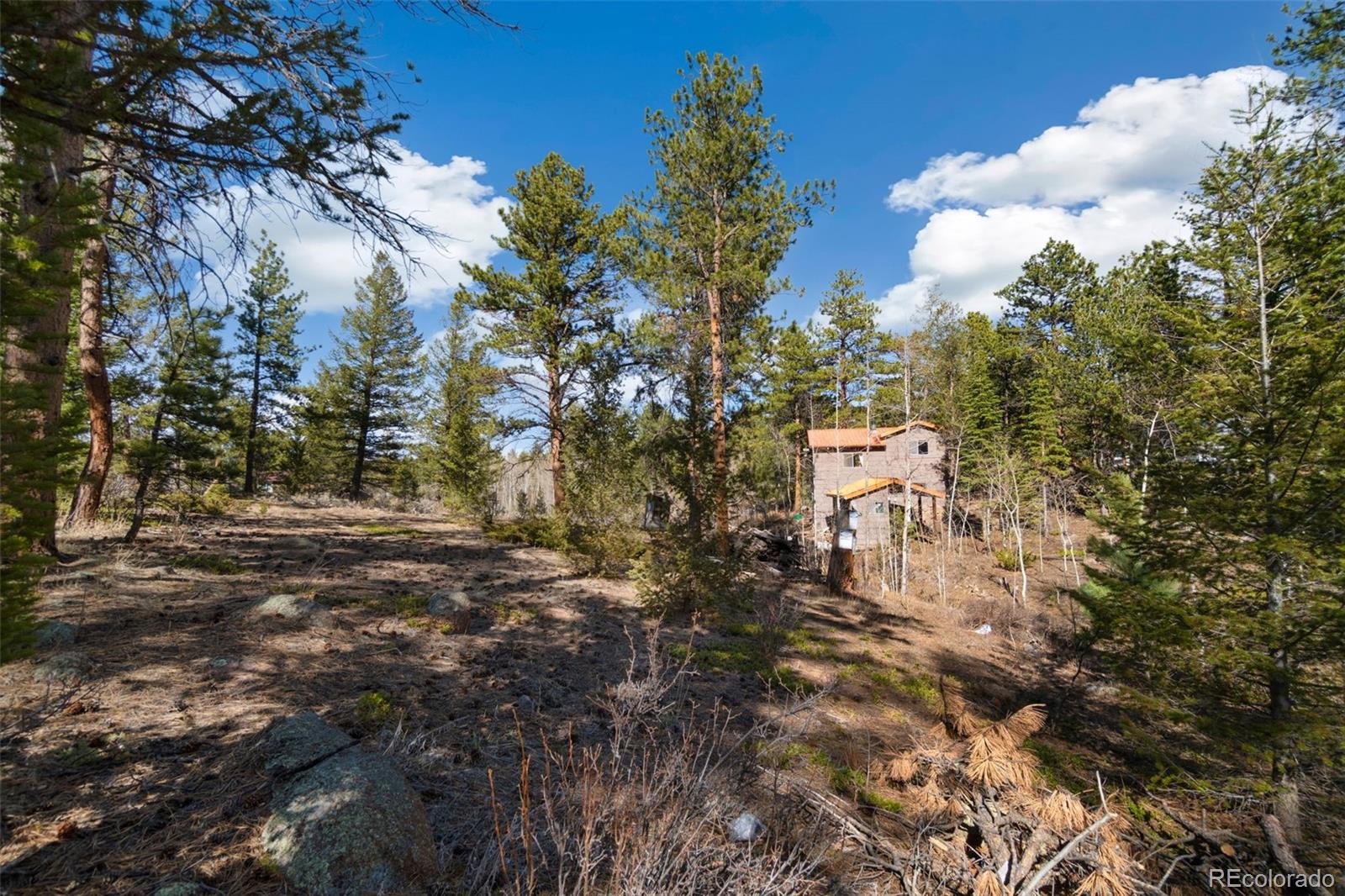 721 Nokomis Road Red Feather Lakes, CO 80545 - Photo 22 of 29 Gallery Image 22