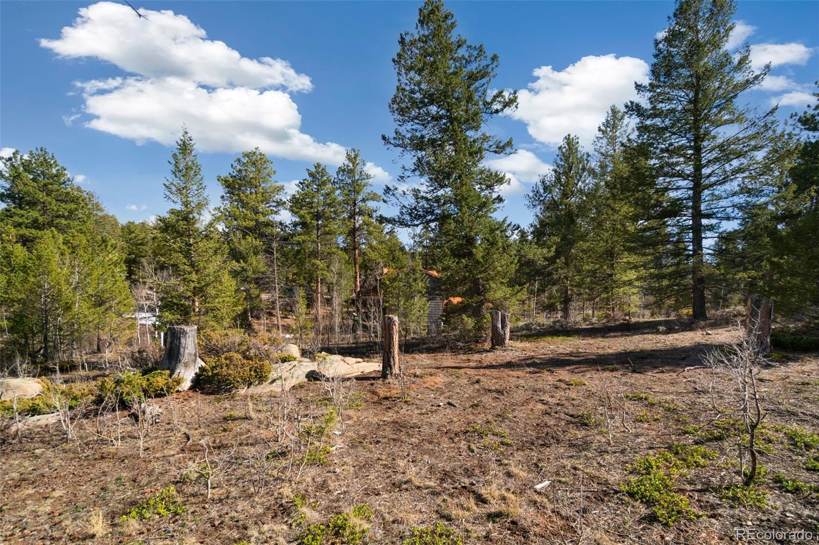 721 Nokomis Road Red Feather Lakes, CO 80545 - Photo 23 of 29 Gallery Image 23
