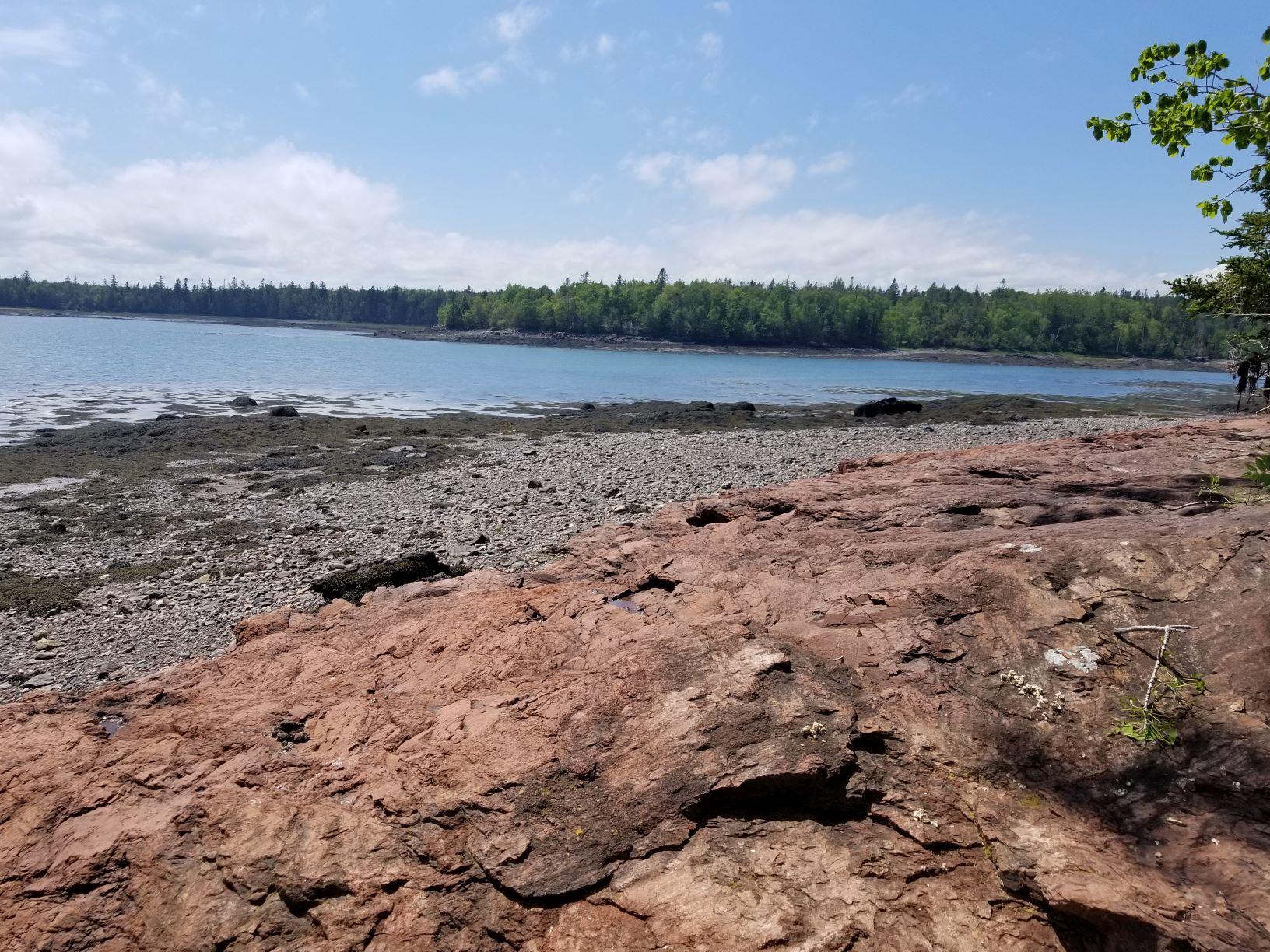 0 Lincoln Cove Road Perry, ME 04667 - Photo 15 of 53 d Shoreline and Lincoln Cove