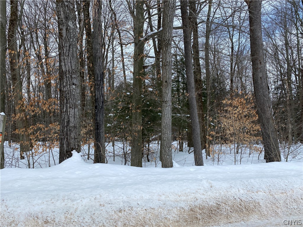 0 Sixty Road Remsen, NY 13438 - Photo 1 of 1 Gallery Image 1