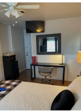 a room with furniture and a potted plant