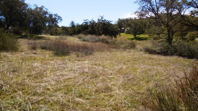 25008 Oakana Road Ramona, CA 92065 - Photo 23 of 25 Gallery Image 23