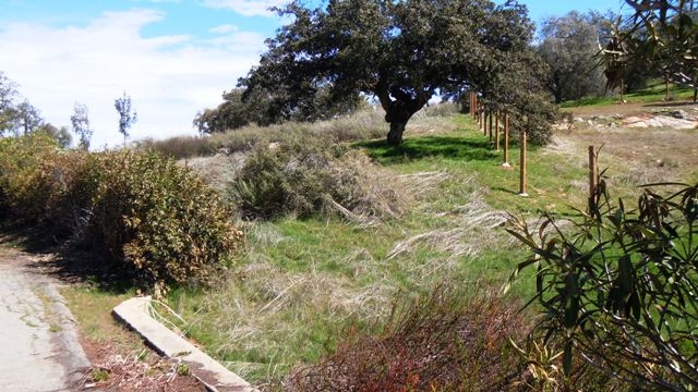 25008 Oakana Road Ramona, CA 92065 - Photo 8 of 25 Gallery Image 8