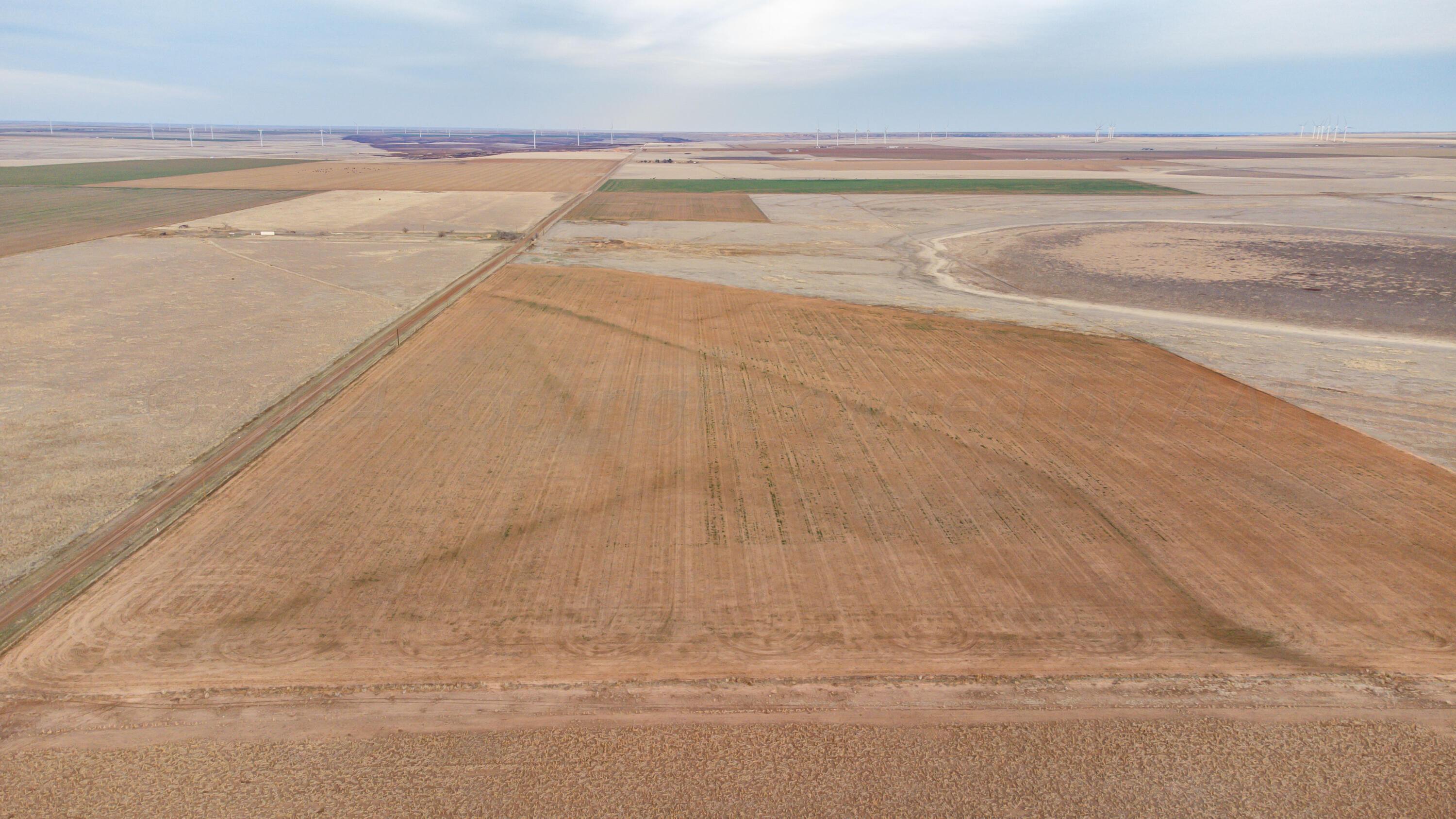 166 Acres Claude, TX 79019 - Photo 4 of 11 a view of an empty room