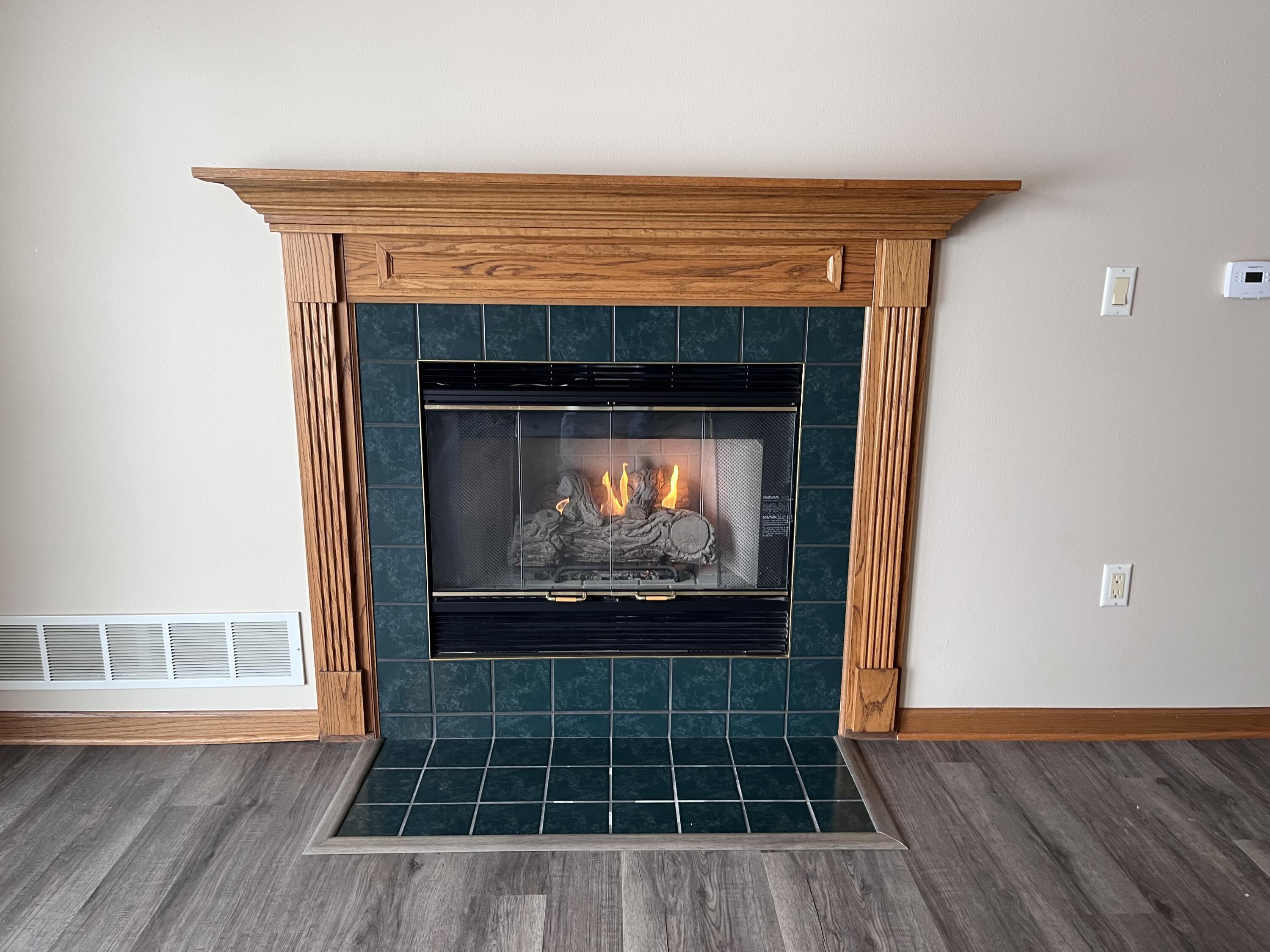 262 South Lar-Ann Street Belgium, WI 53004 - Photo 4 of 12 Gas Fire Place