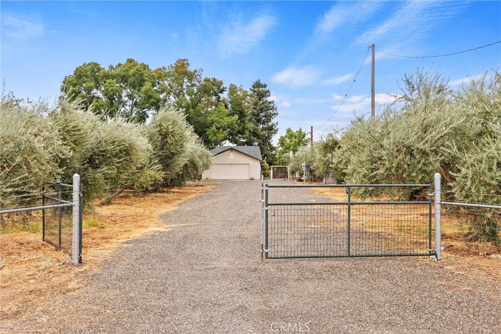 24235 Moon Corning, CA 96021 - Photo 8 of 58 a view of a yard