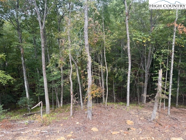 Peck Peak Road Jefferson, NC 28640 - Photo 18 of 22 a view of a forest with trees