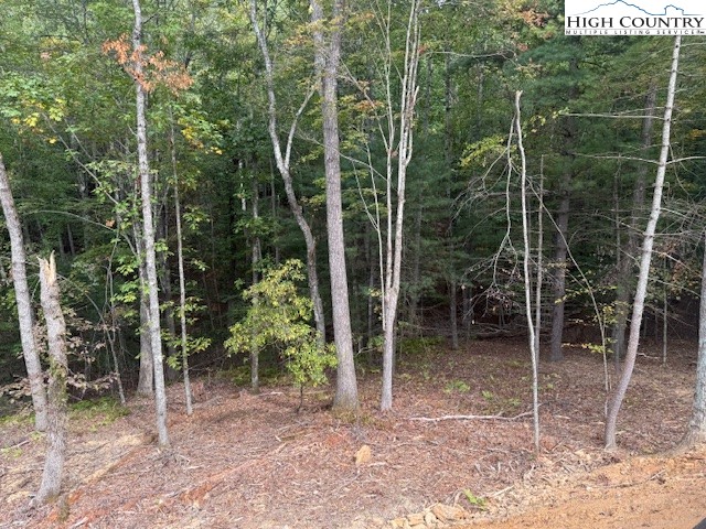 Peck Peak Road Jefferson, NC 28640 - Photo 20 of 22 a view of a chair and a small park