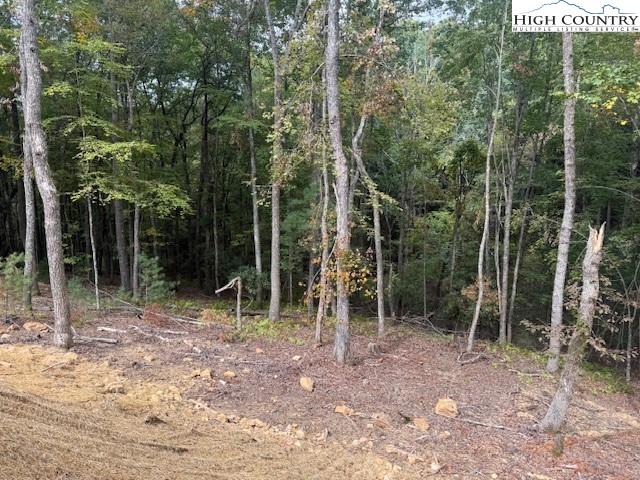 Peck Peak Road Jefferson, NC 28640 - Photo 21 of 22 a backyard of a house with lots of trees and wooden fence