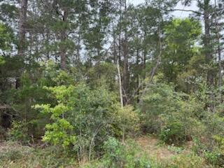 7117 Snug Waters Road Navarre, FL 32566 - Photo 4 of 14 Land