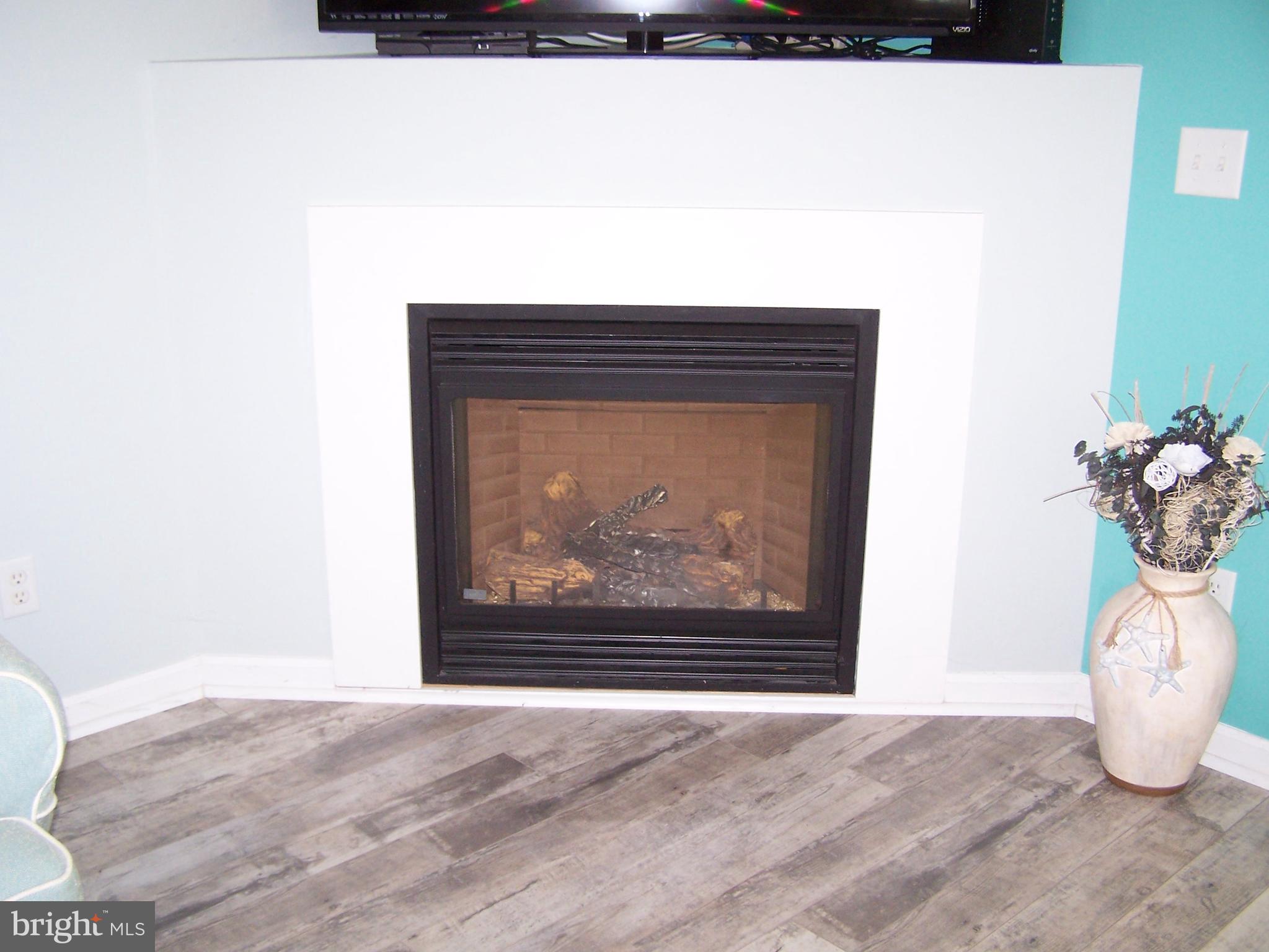 153 Pine Tree Road Ocean City, MD 21842 - Photo 28 of 77 Gas Fireplace