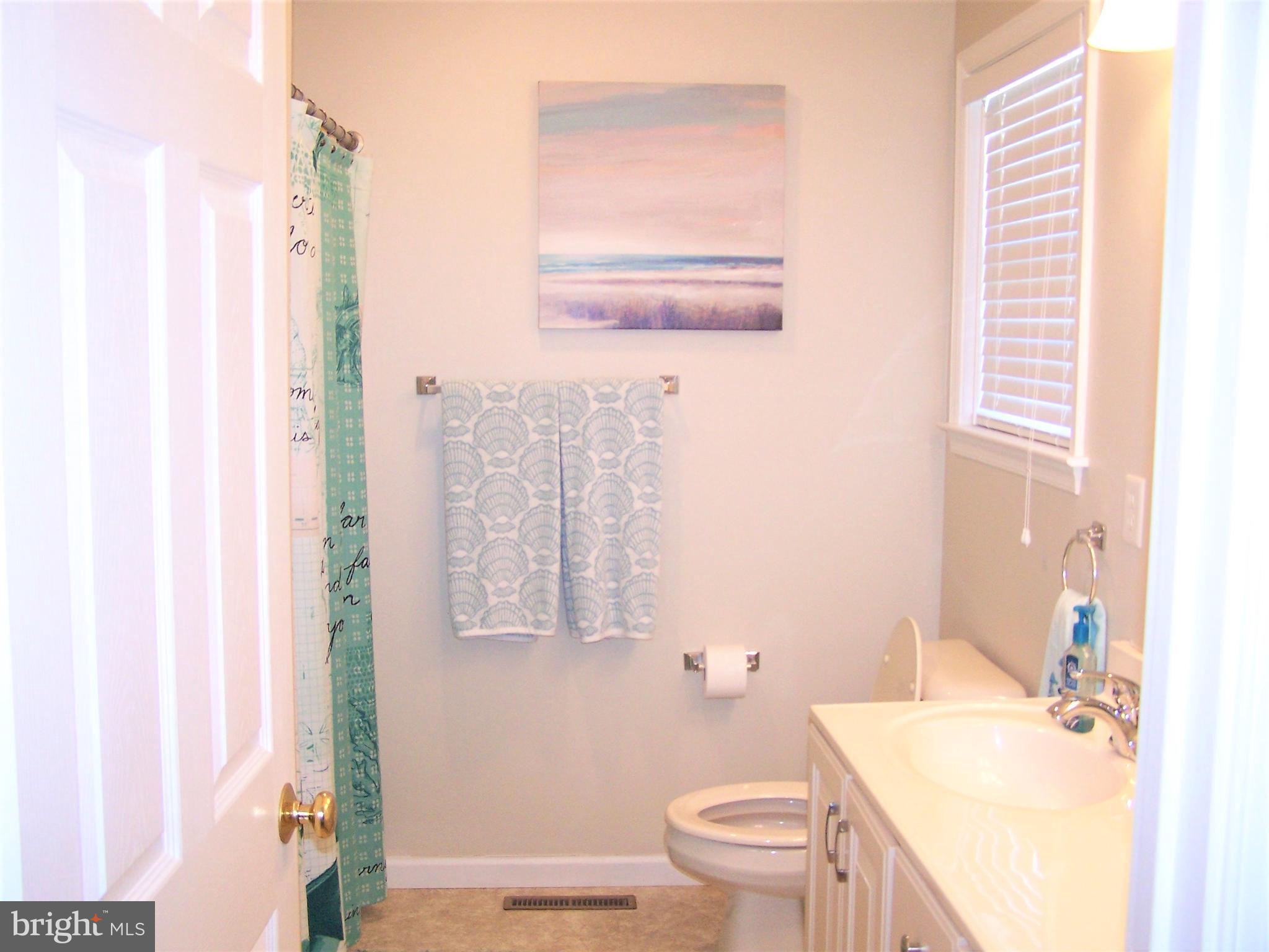 153 Pine Tree Road Ocean City, MD 21842 - Photo 42 of 77 Master Bathroom