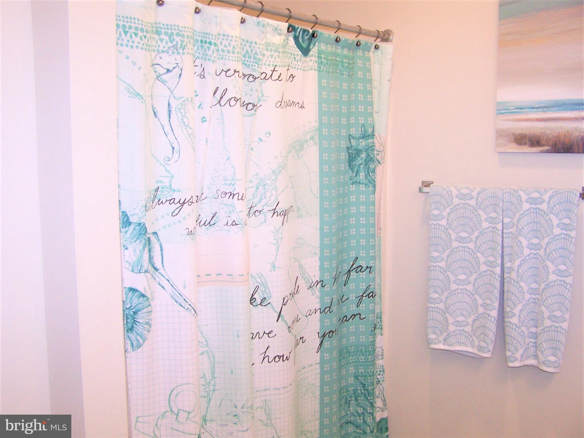 153 Pine Tree Road Ocean City, MD 21842 - Photo 43 of 77 Master Bathroom