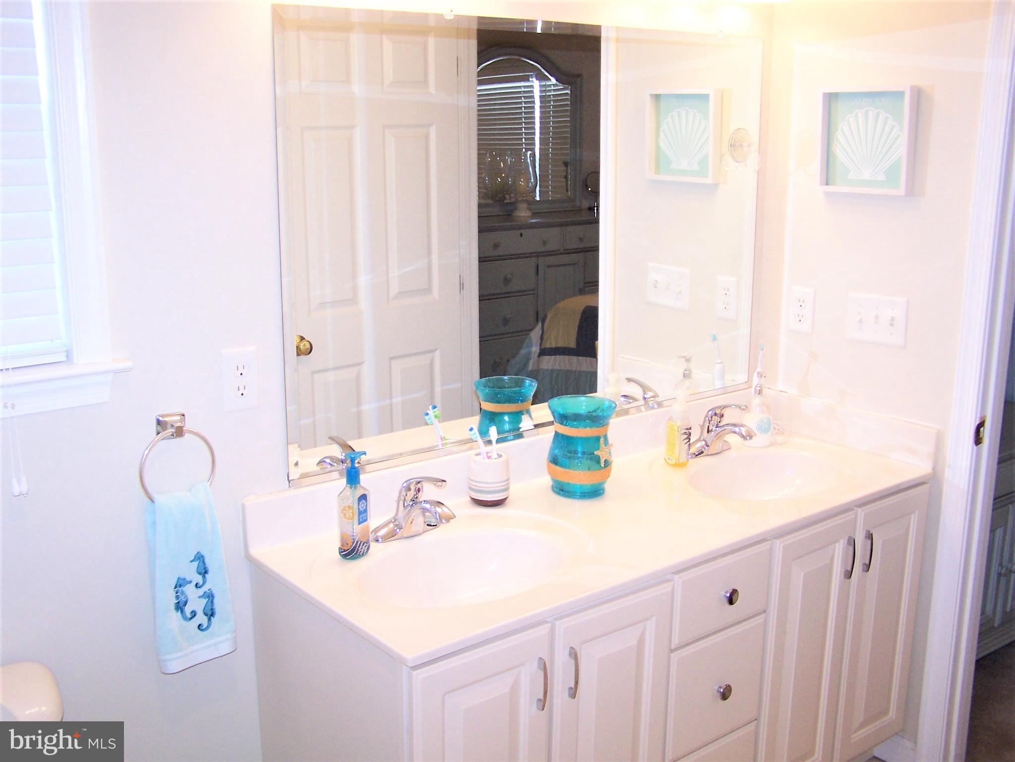 153 Pine Tree Road Ocean City, MD 21842 - Photo 44 of 77 Master Bathroom