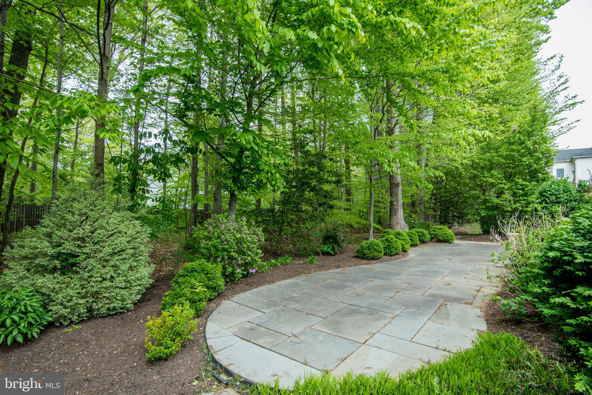 7428 Spring Summit Road Springfield, VA 22150 - Photo 42 of 70 Backing to trees